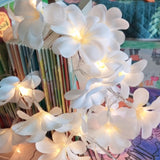 White Violet LED Decoration String Lights For Home