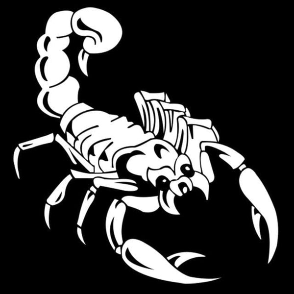 1 Piece 30cm Cute 3D Scorpion Car Stickers car styling vinyl decal sticker for Cars Acessories decoration QC29